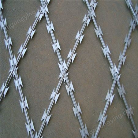 低桩网 蛇腹形模拟铁丝网 带刺铁丝网 围墙防攀爬刺网