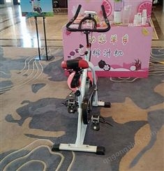 京津冀发电单车 粉红滑梯 蜂巢迷宫 航天展 水池租赁