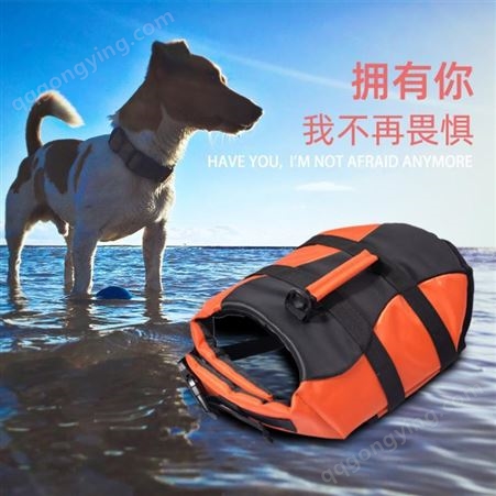 狗狗泳衣救生衣 小型犬中型犬泰迪柯基法斗游泳衣 宠物玩水游泳用品