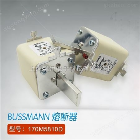 美国巴斯曼CooperBussmann保险丝熔断器170M5810D全新现货